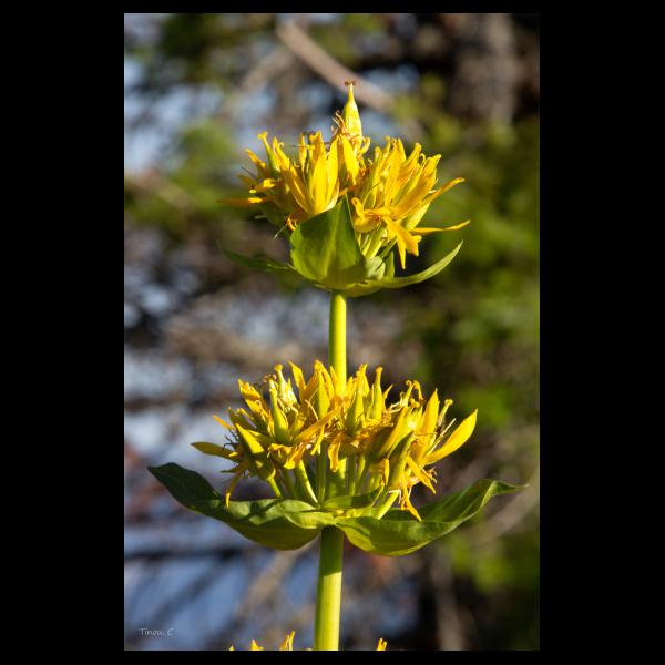 PHOTO84, CLUB, 84 , LUBERON